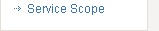 Service Scope