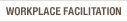 Workplace Facilitation