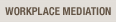 Workplace Mediation