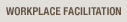 Workplace Facilitation